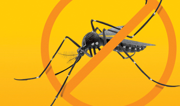 Campanha Alerta Dengue - PMJ